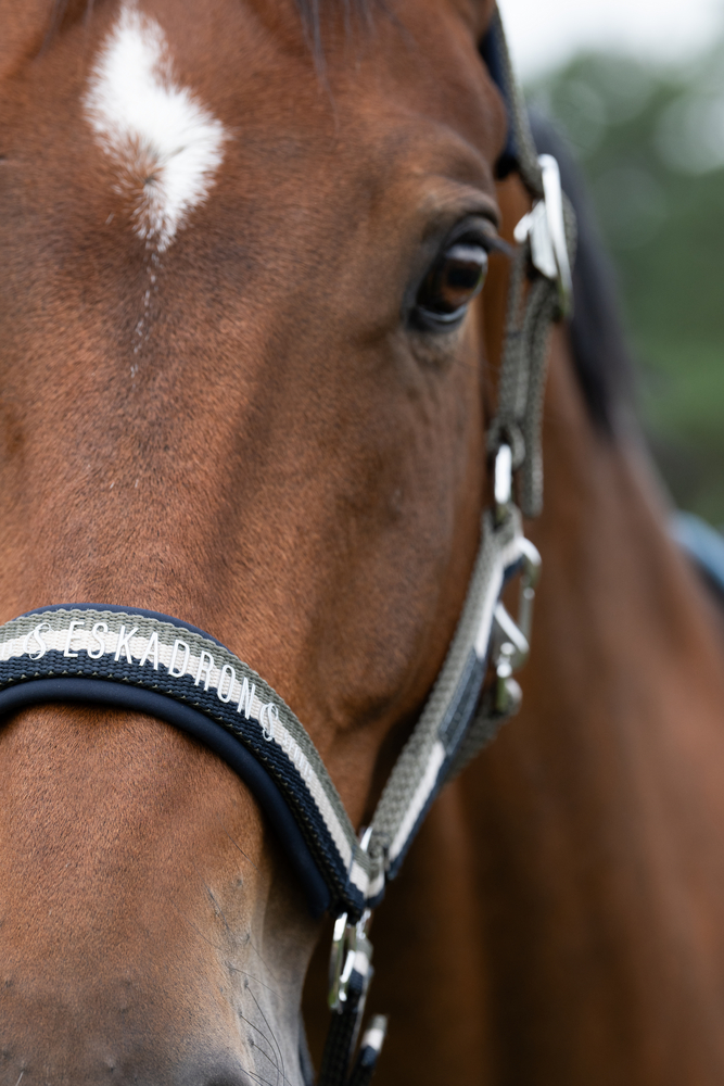 DOUBLE PIN<br>HEADCOLLAR