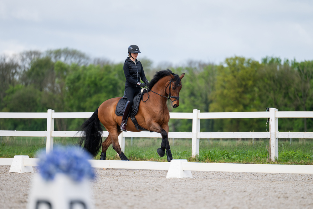 PIKEUR NEW LUGANA FFL<br>MIDWAIST