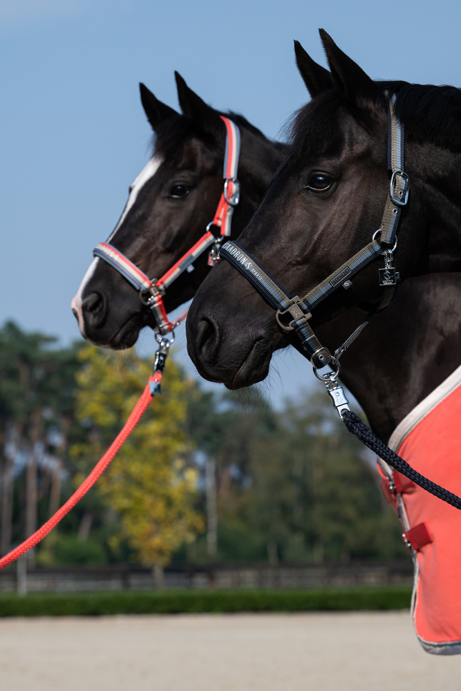 DOUBLE PIN<br>HEADCOLLAR