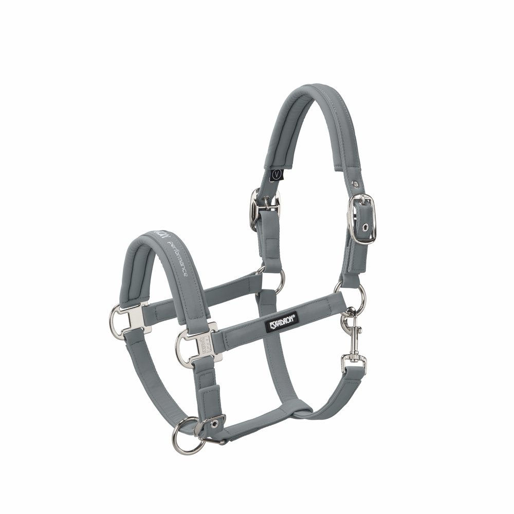 DOUBLE PIN BUCKLE SOFTSHELL<br>HEADCOLLAR