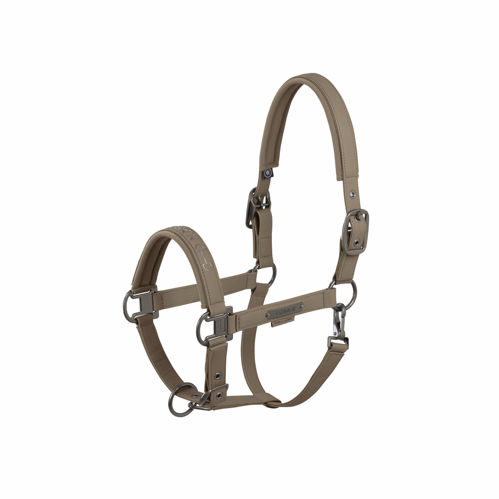 FAUX LEATHER DOUBLE PIN<br>HEADCOLLAR
