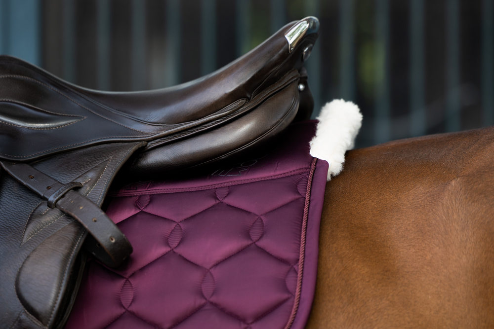 GLOSSY EVO-WOOL<br>SADDLE CLOTH
