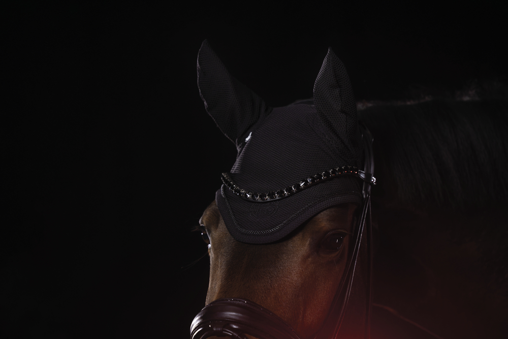 DYNAIR MESH SPORT<br>FLY HOOD