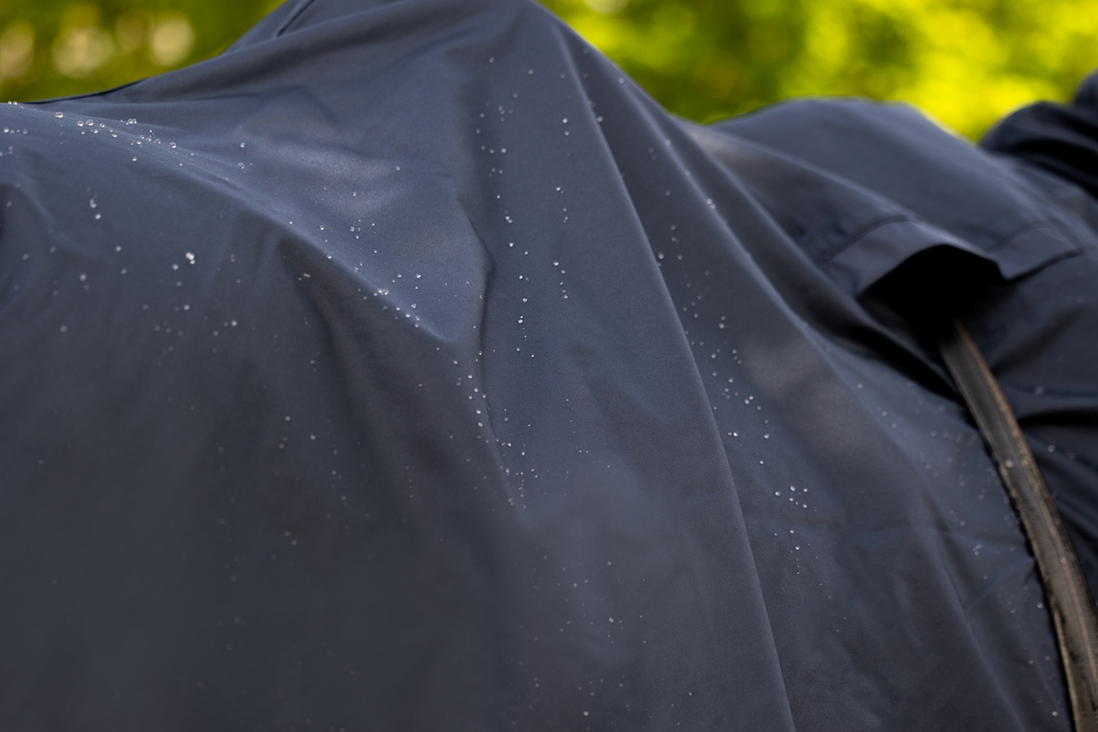 ZIPNECK<br>REGENDECKE