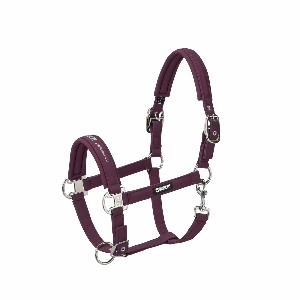 DOUBLE PIN BUCKLE SOFTSHELL<br>HEADCOLLAR