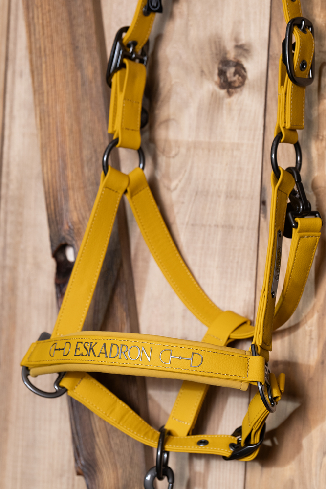FAUX LEATHER DOUBLE PIN<br>HEADCOLLAR