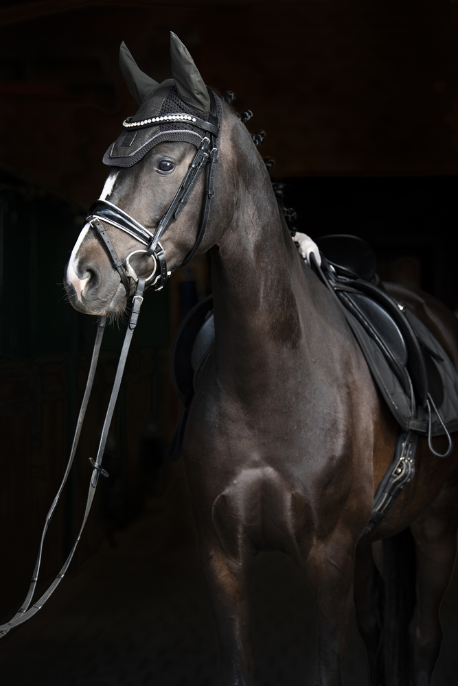 GLITTER MESH SPORT<br>FLY HOOD