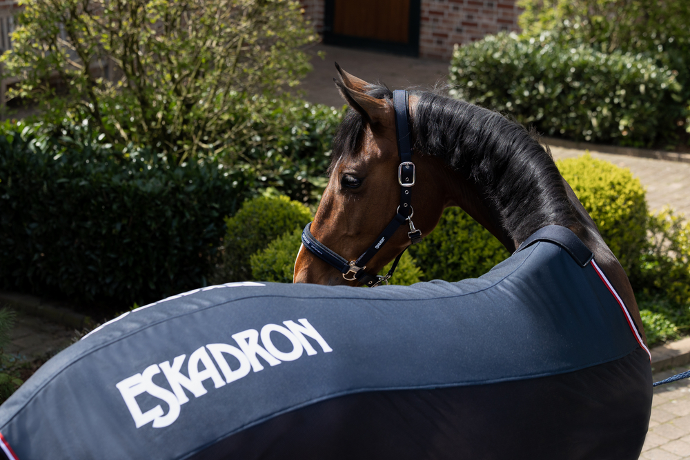 PRO COVER<br>FLY SHEET