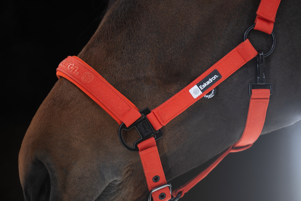 SPARKLE DOUBLE PIN<br>HEADCOLLAR