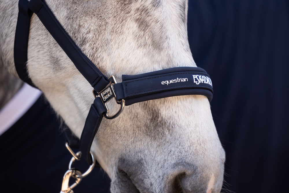 DOUBLE PIN BUCKLE SOFTSHELL<br>HEADCOLLAR
