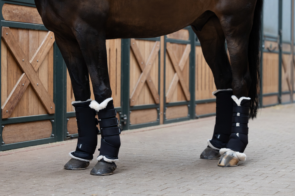 NEO<br>STALLGAMASCHEN