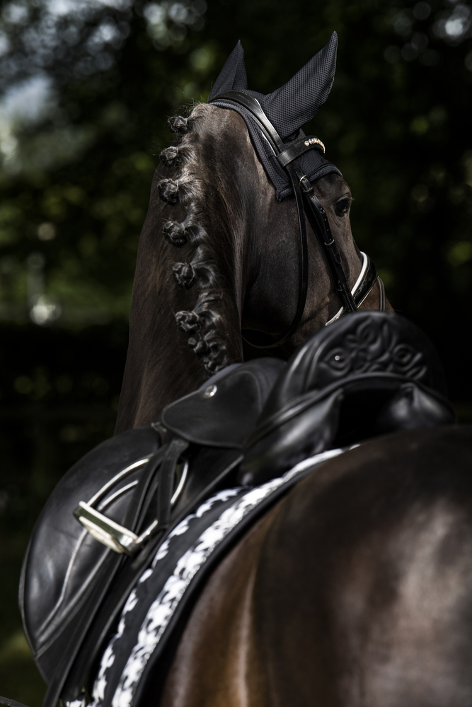 BIG SQUARE GLOSSY<br>SADDLE CLOTH