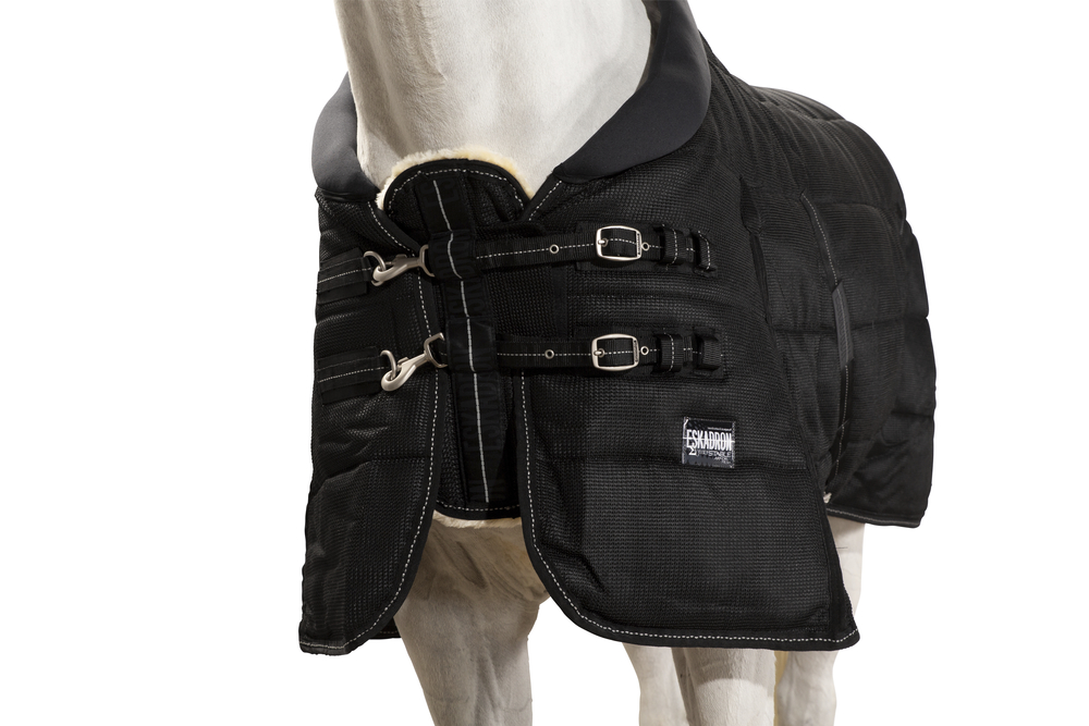 SIGMA STABLE 100<br>STABLE RUG