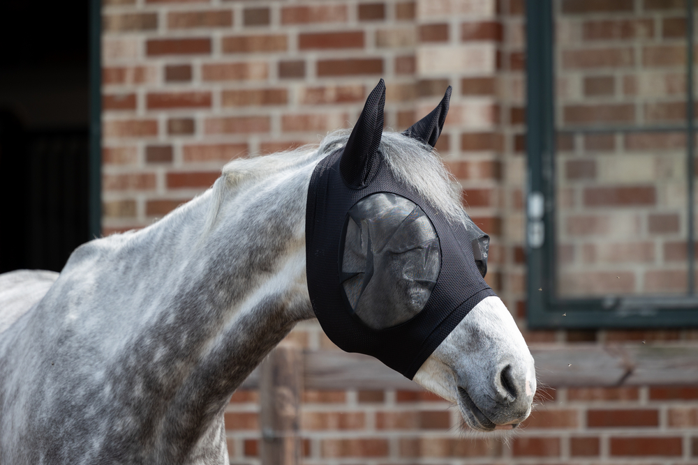 DYNAIRMESH PRO<br>FLY MASK