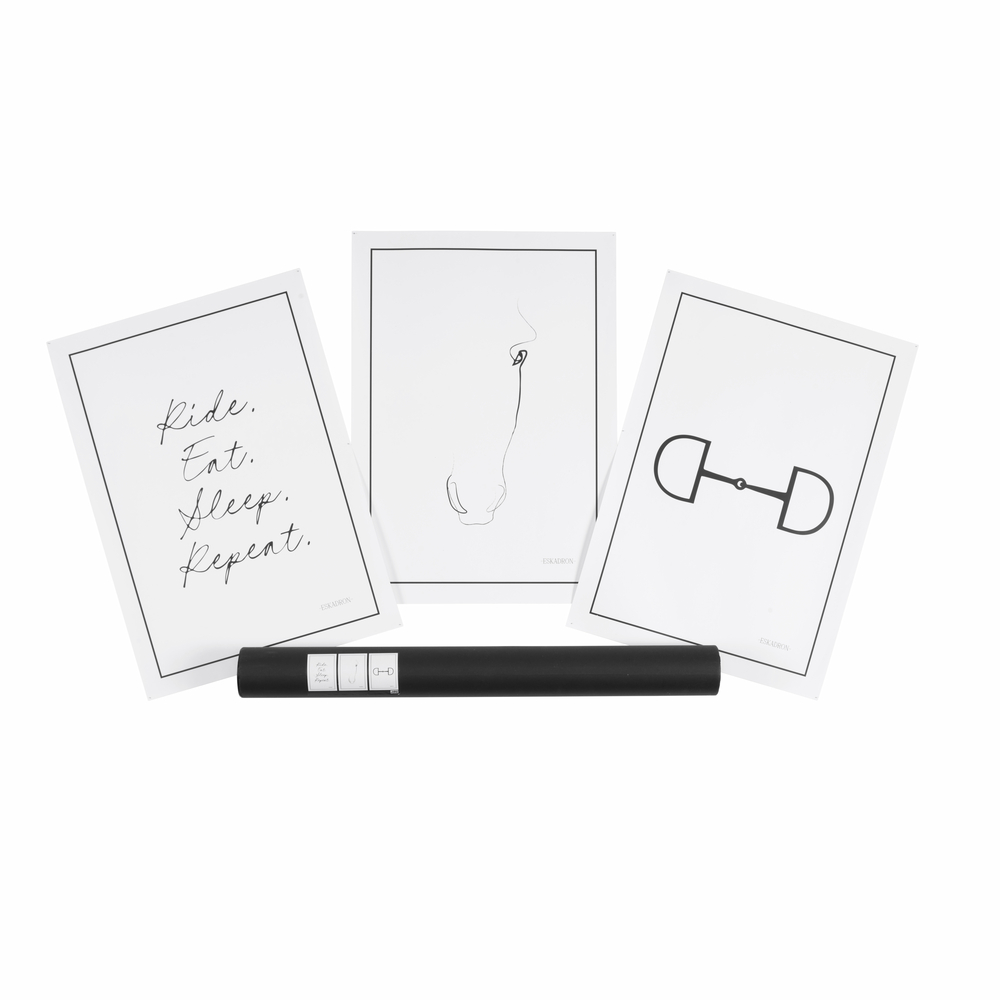 SET OF 3<br>WALL ART