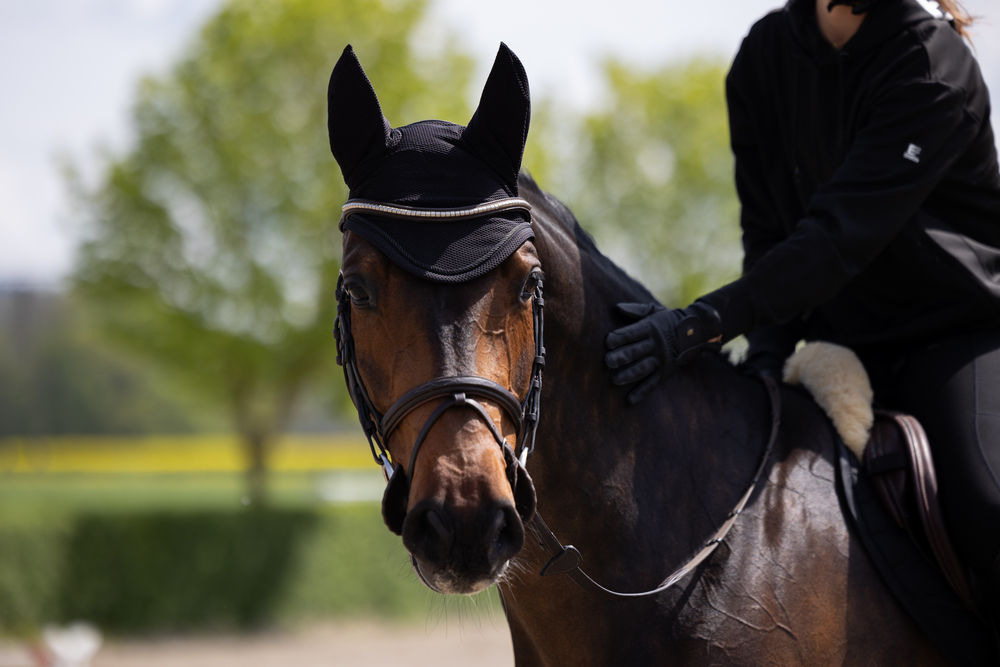 DYNAIRMESH<br>FLIEGENKOPFSCHUTZ