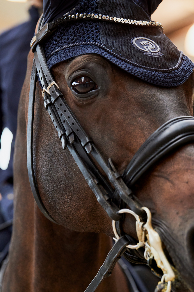 GLITTER MESH<br>FLY HOOD