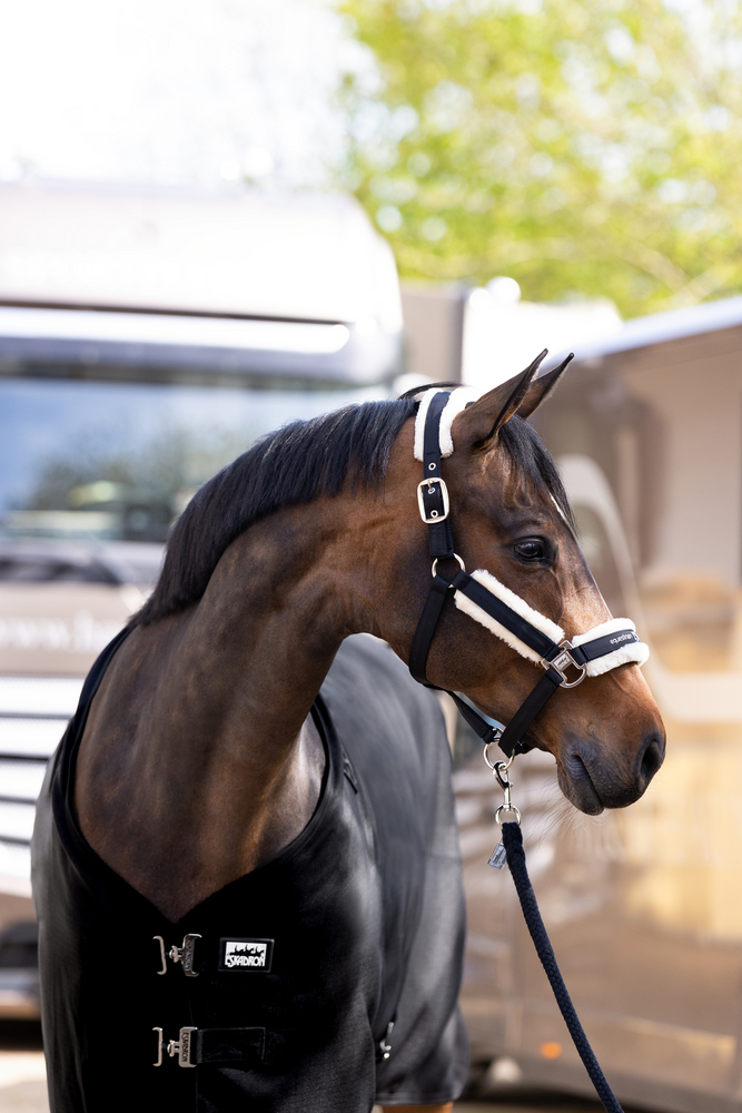 RIPSTOP LIGHT<br>STABLE RUG