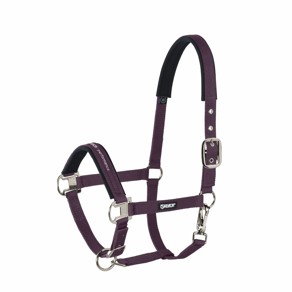 PIN BUCKLE<br>HEADCOLLAR