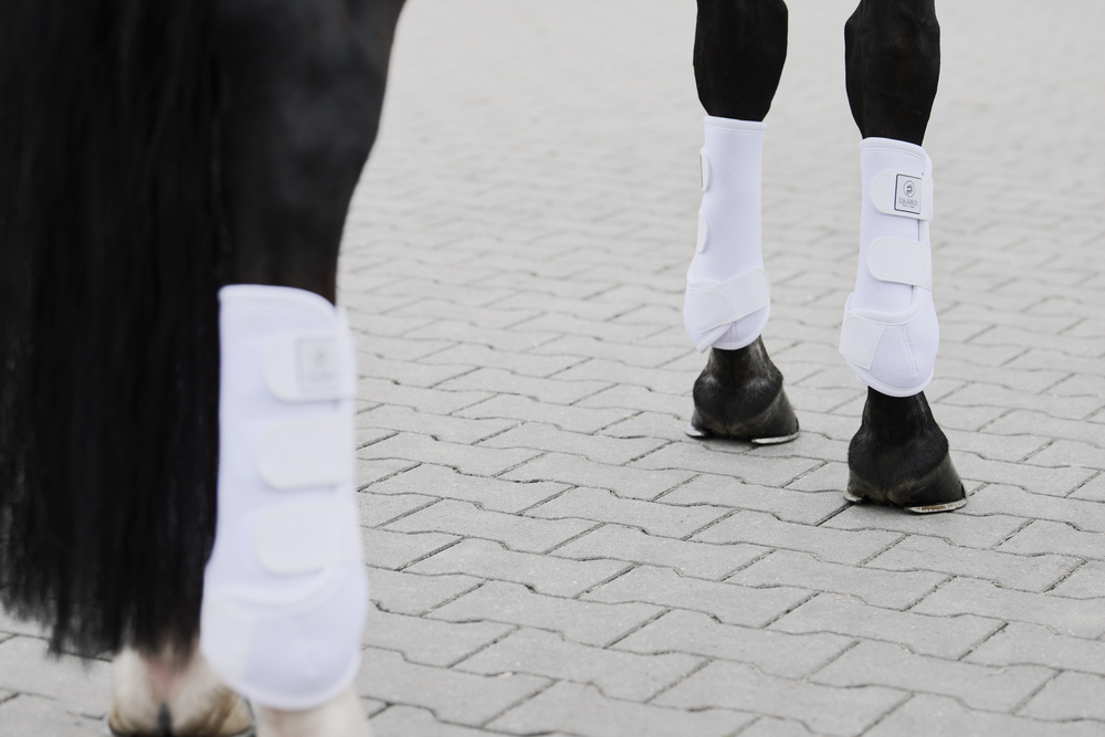 PRO DRESSAGE FRONT<br>TENDON BOOTS