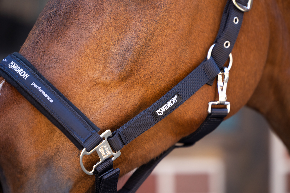 PIN BUCKLE<br>HEADCOLLAR