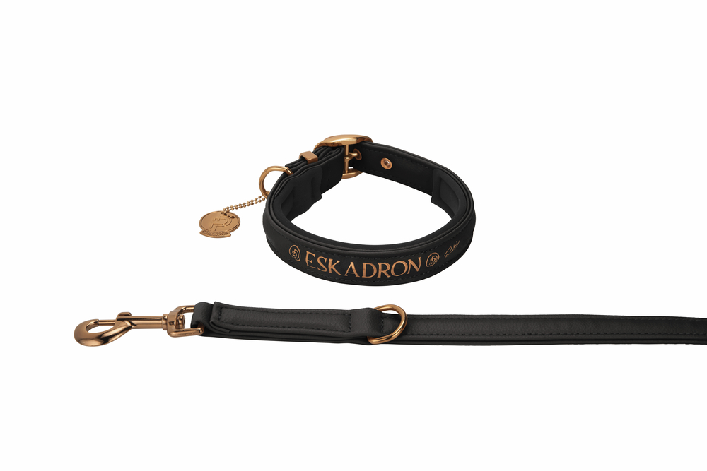 FAUX LEATHER<br>DOG SET