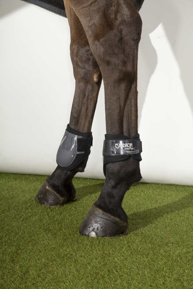 PRO.FLEX CLASSIC H<br>FETLOCK BOOTS