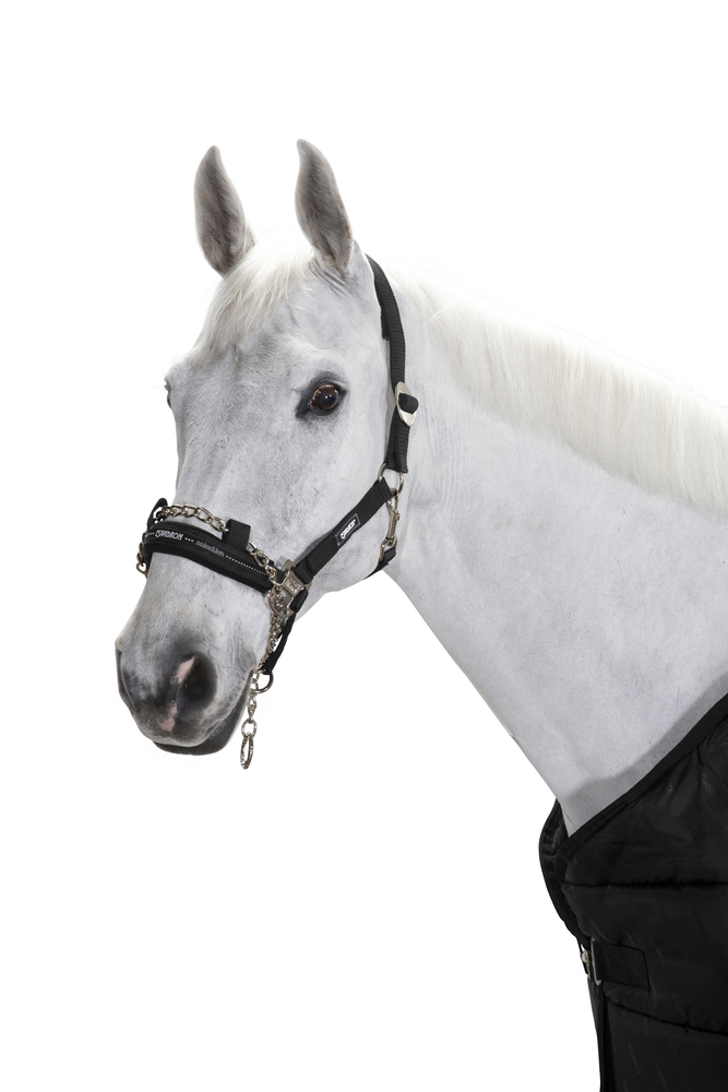 CONTROL SLIDING BUCKLE<br>HEADCOLLAR