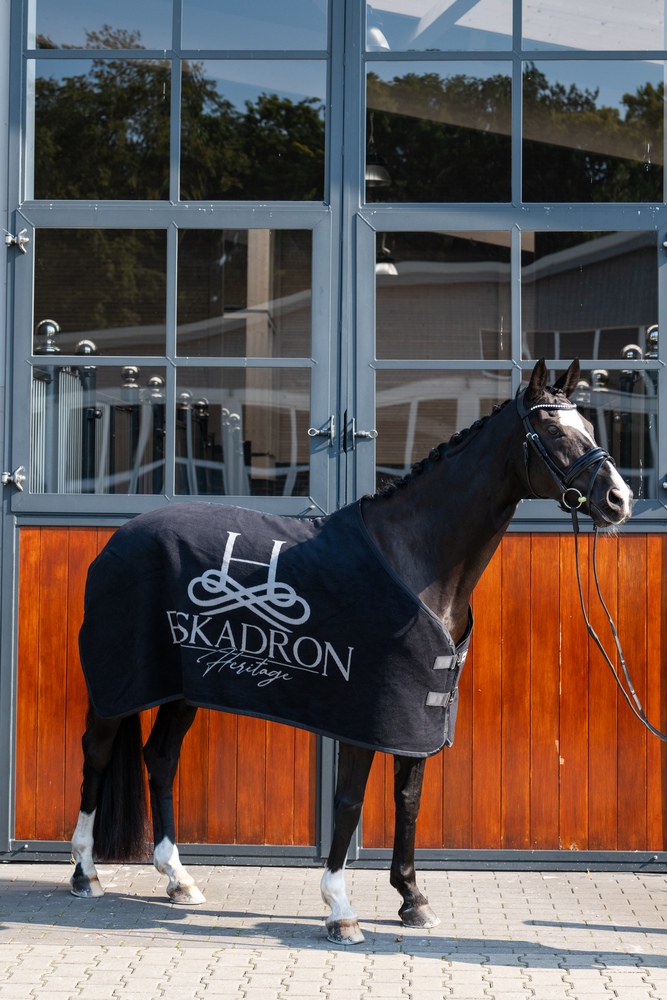 DRALON<br>STABLE RUG