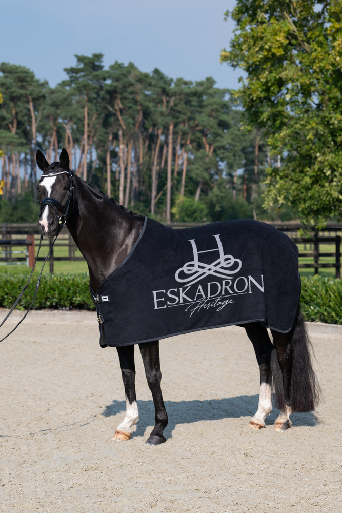 DRALON<br>STABLE RUG
