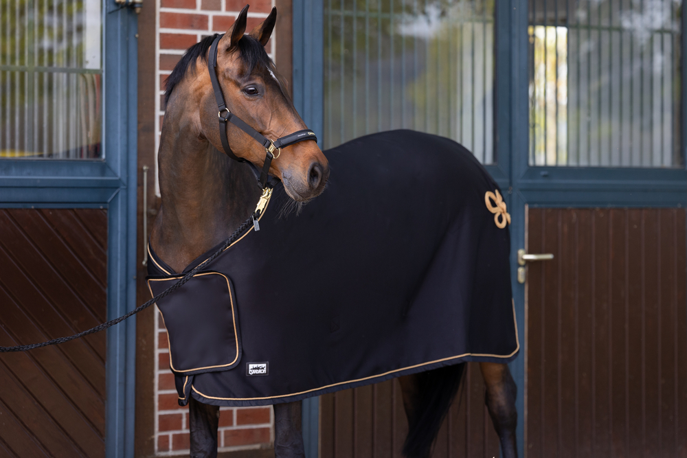 SOFTSHELL AIR<br>SWEAT RUG