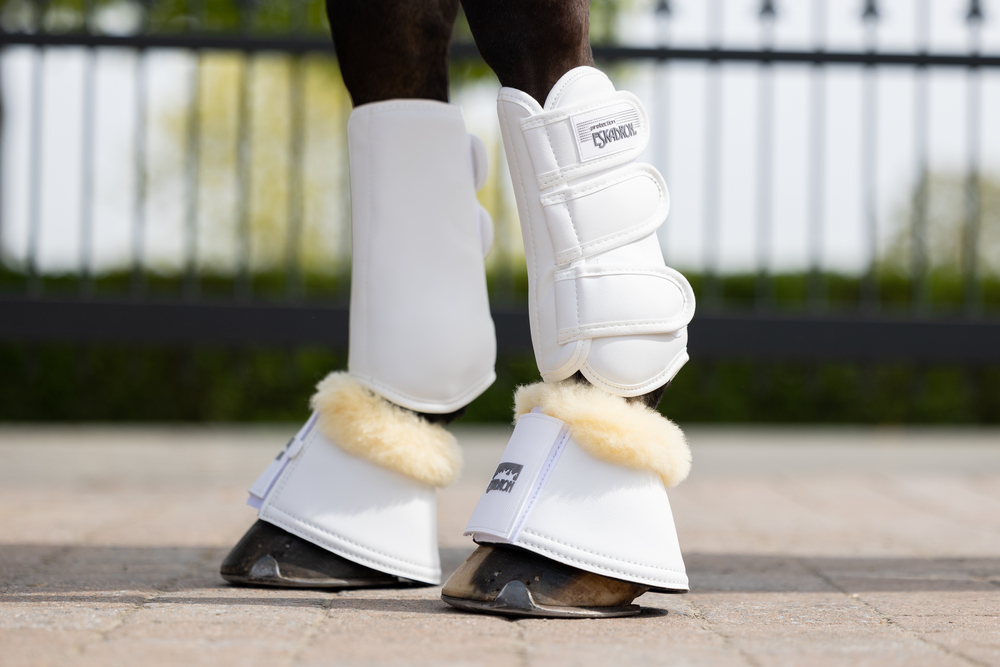 ALLROUND F<br>TENDON BOOTS