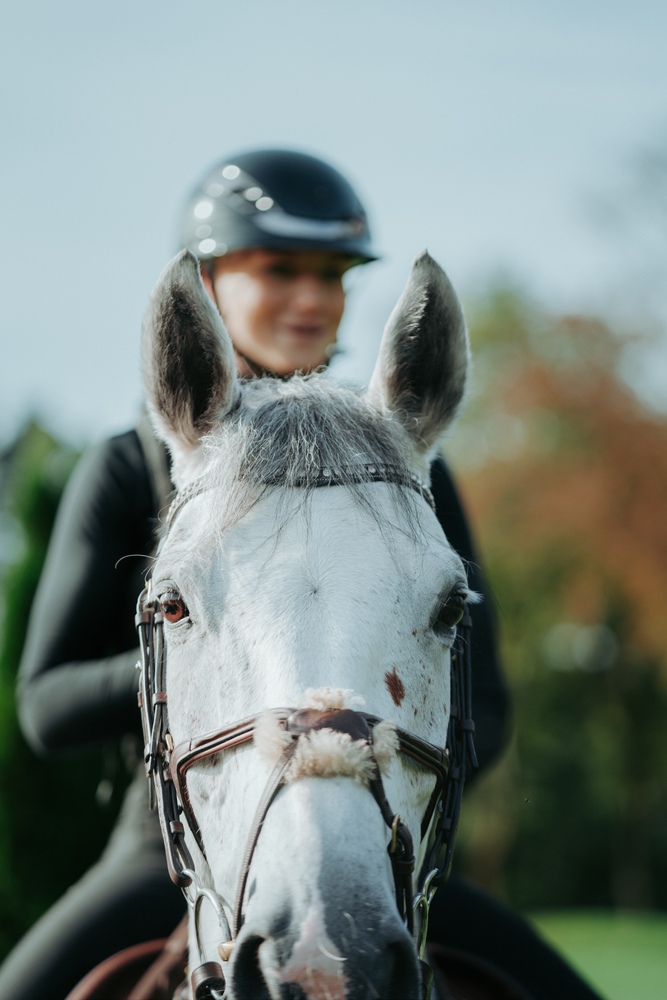 AIRLUXE CHROME<br>RIDING HELMET
