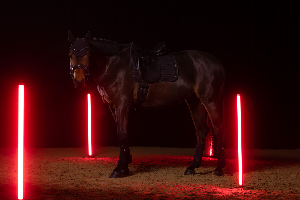 SPARKLE CRYSTAL<br>SADDLE CLOTH