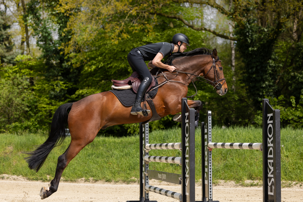 PIKEUR RODRIGO GR KN<br>KNEE PATCHES
