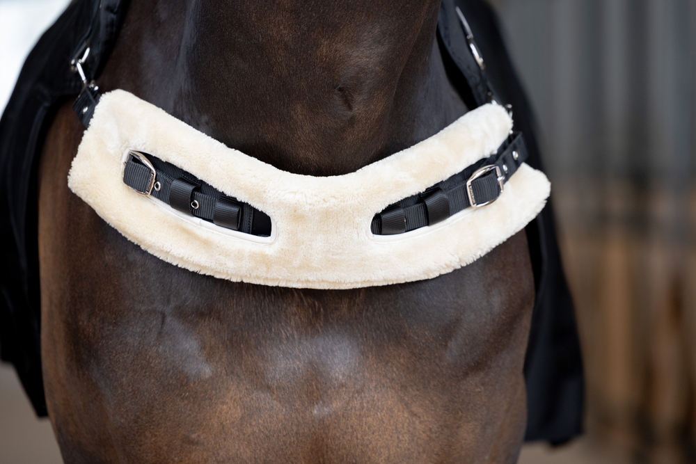 DELTA II FLEECE + 50 G<br>WALKER RUG