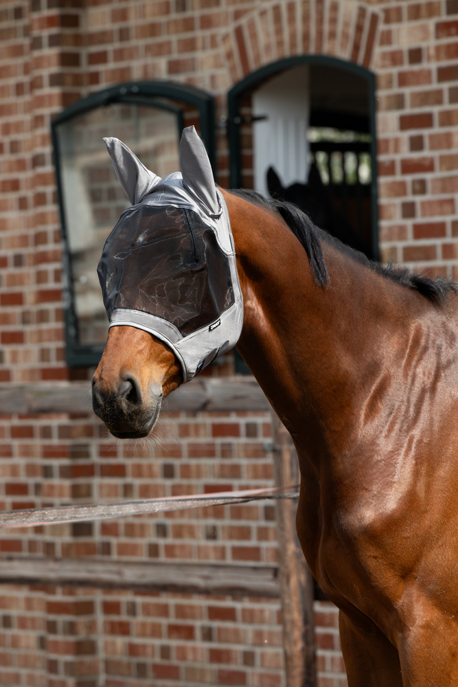 FLY MASK<br>FLIEGENMASKE