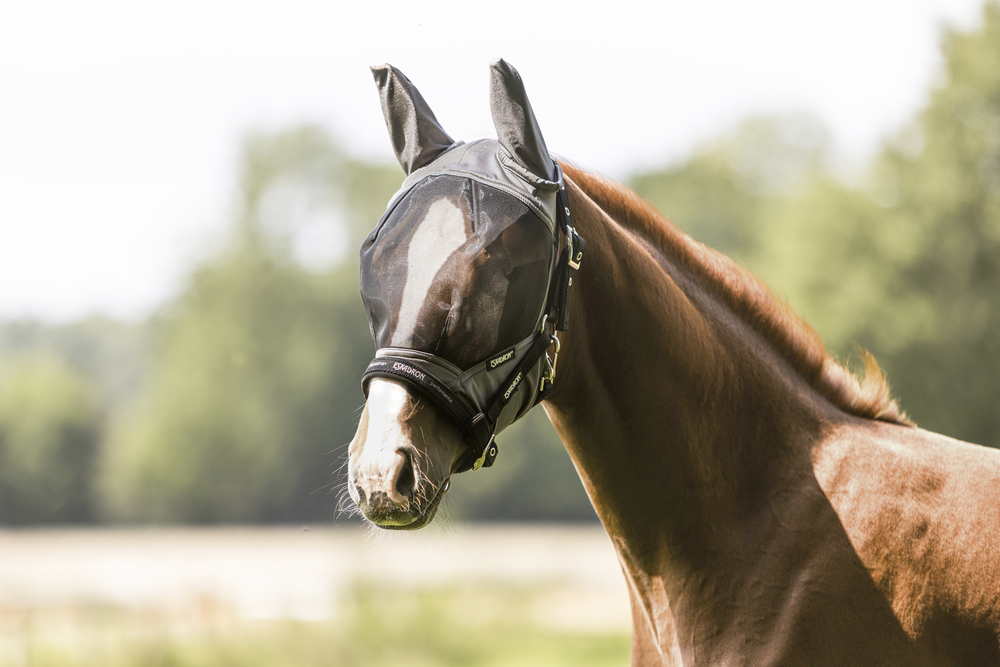 FLY MASK<br>FLIEGENMASKE