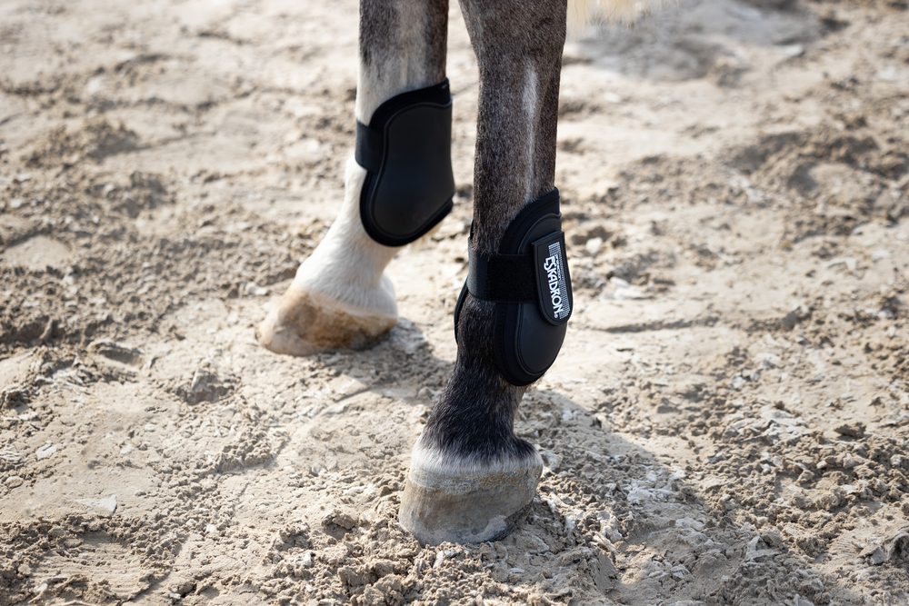 COMPACT H<br>TENDON BOOTS