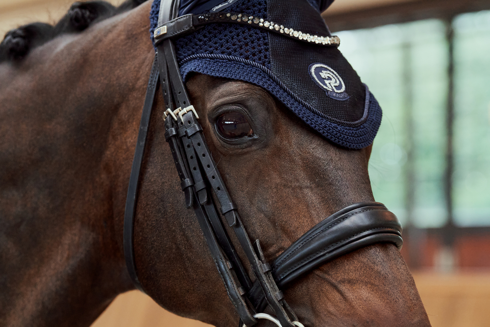 GLITTER MESH<br>FLY HOOD