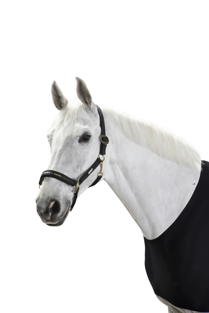 SLIDING BUCKLE<br>HEADCOLLAR