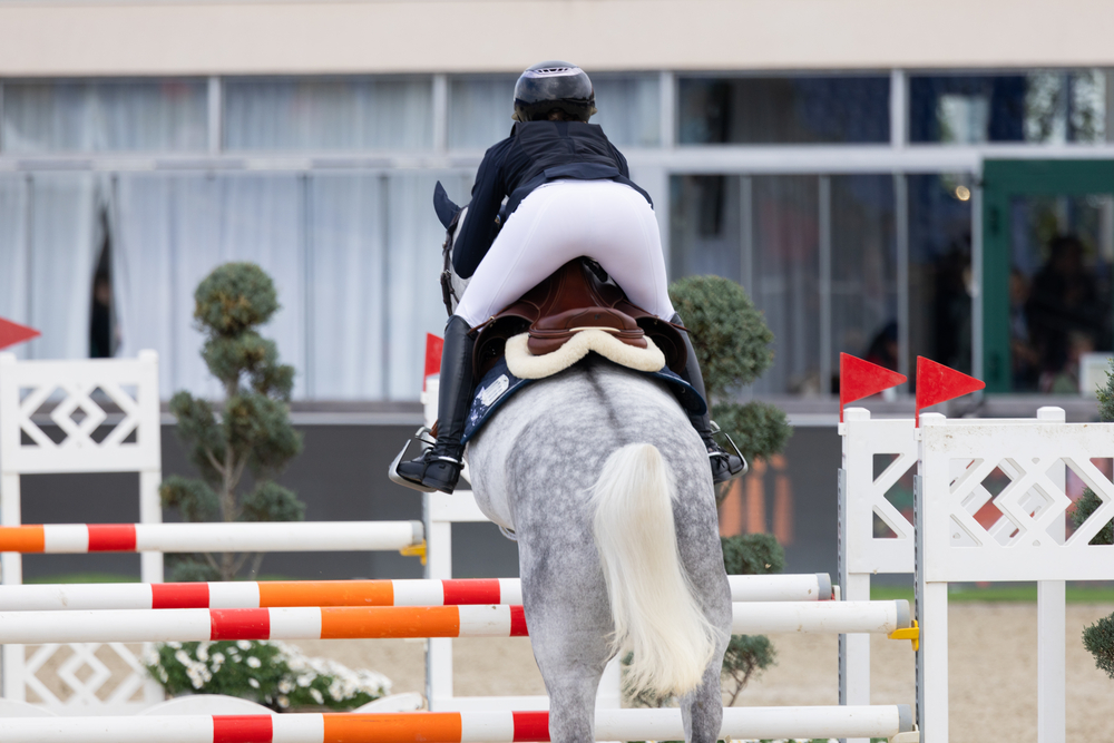 PIKEUR ROMY SD KN<br>FULL PATCHES