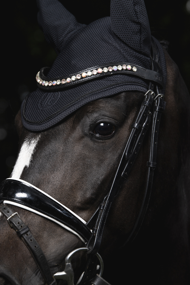 DYNAIR MESH<br>FLY HOOD