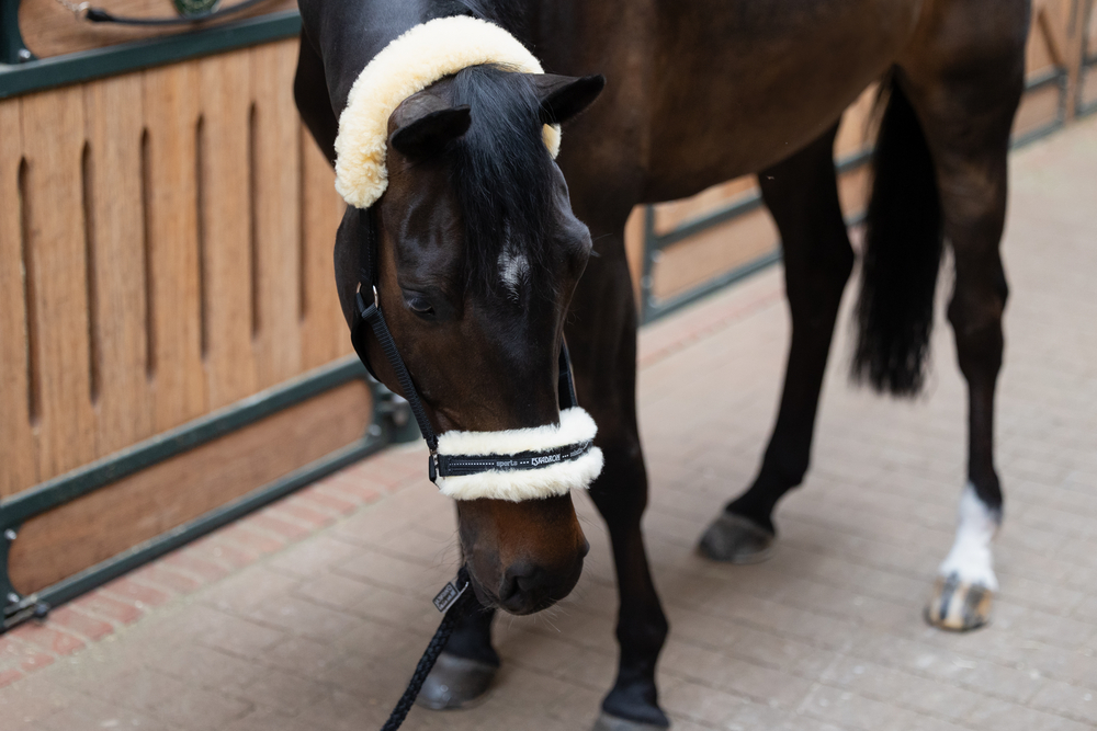 LAMBSKIN PIN BUCKLE<br>HEADCOLLAR