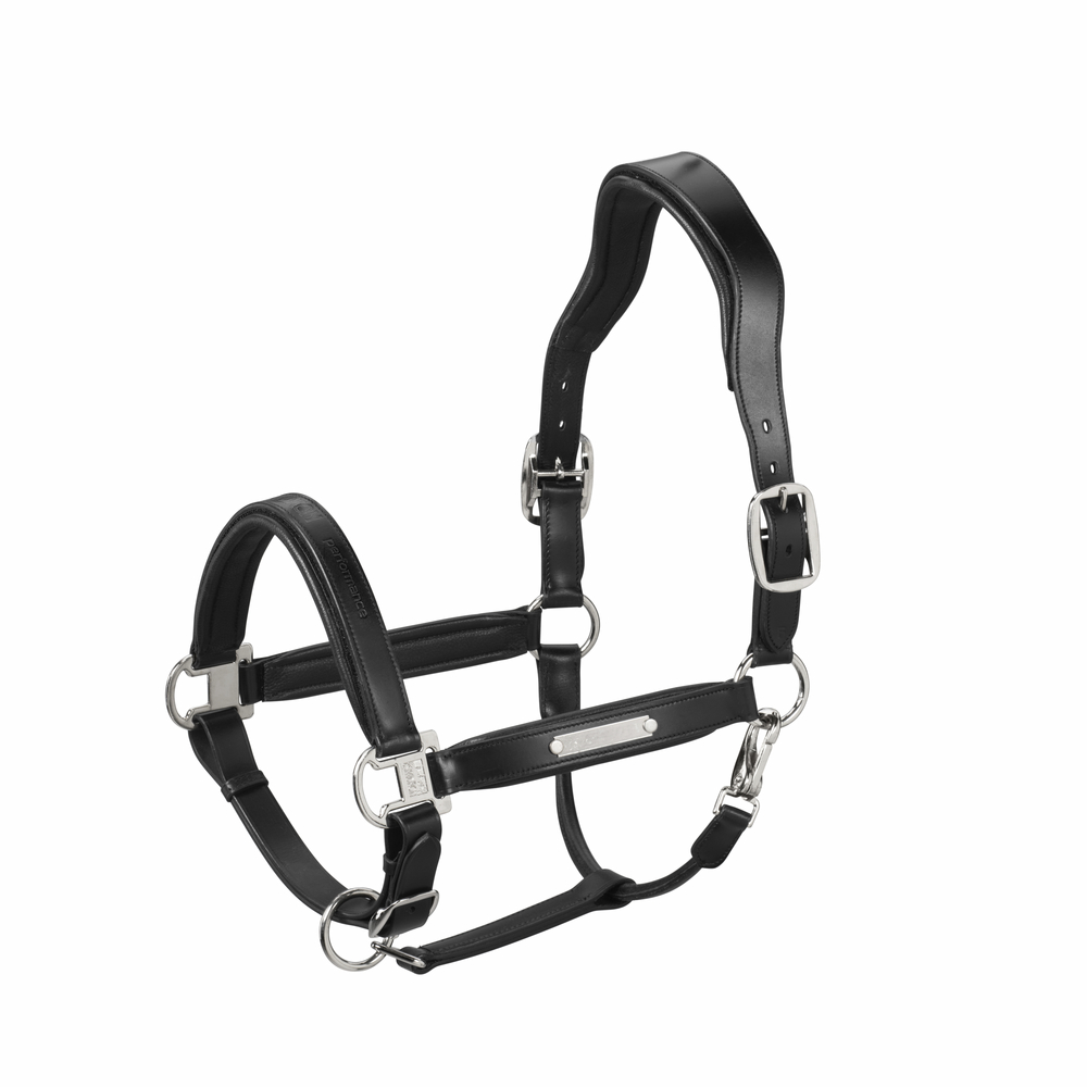LEATHER STALLION<br>HALFTER
