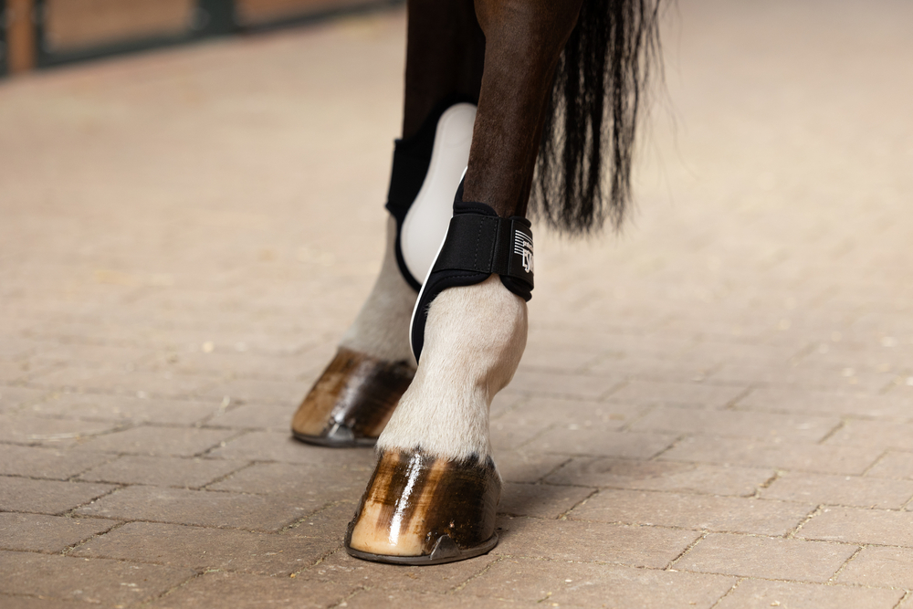 PROTECTION ELASTIC H<br>FETLOCK BOOTS