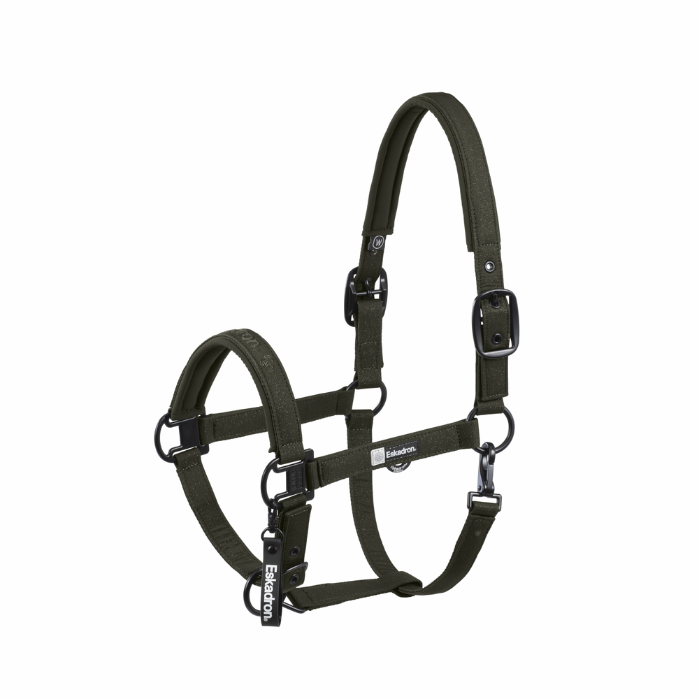 SPARKLE DOUBLE PIN<br>HEADCOLLAR