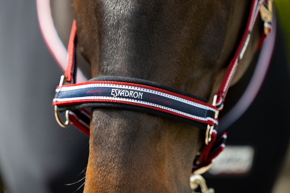 PIN BUCKLE<br>HEADCOLLAR