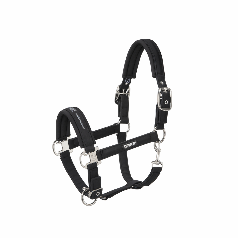 DOUBLE PIN BUCKLE SOFTSHELL<br>HEADCOLLAR