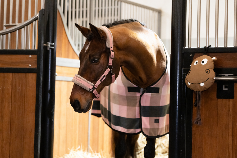 DOUBLE PIN FAUX FUR<br>HEADCOLLAR